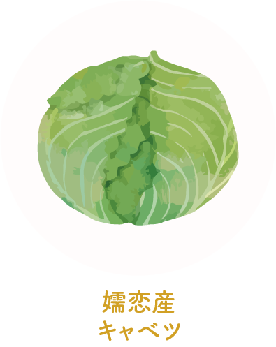 嬬恋産キャベツ
