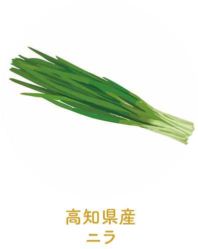 高知県産ニラ