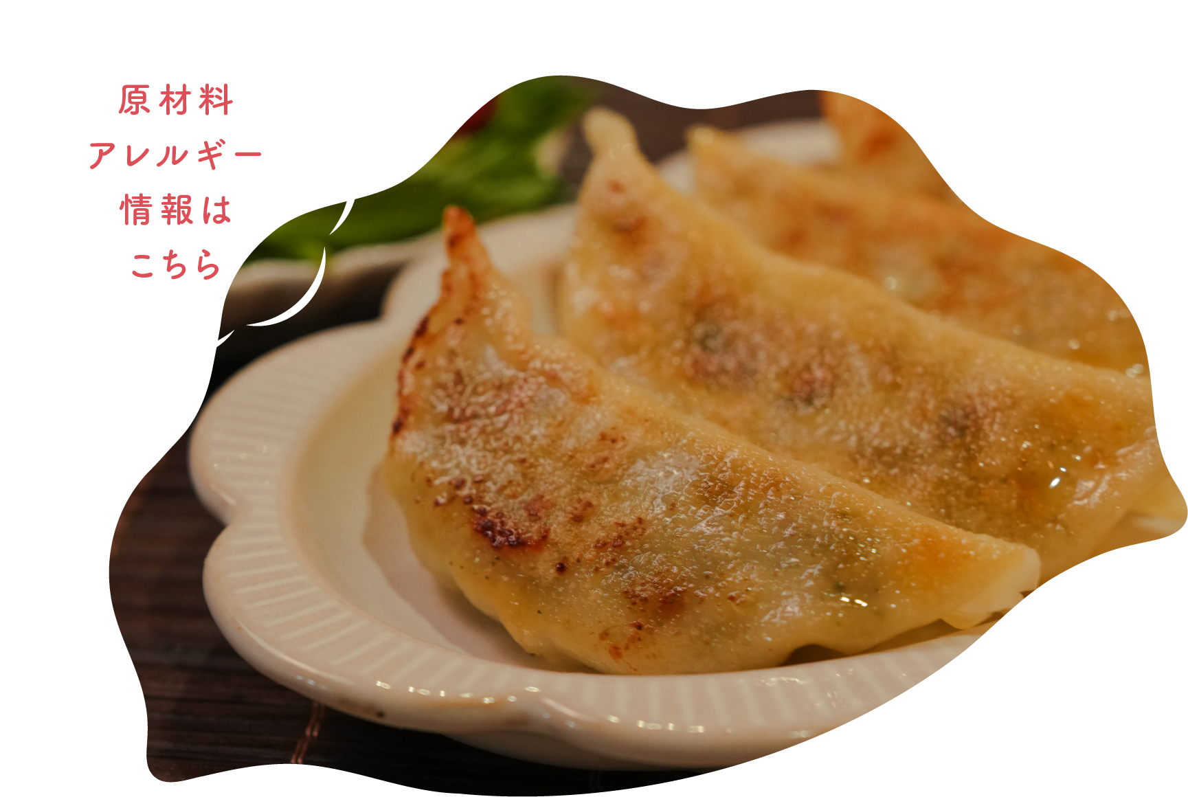 ベジっこ餃子