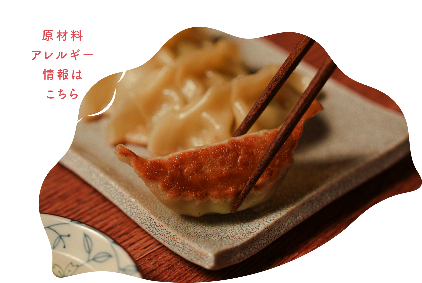肉っこ餃子