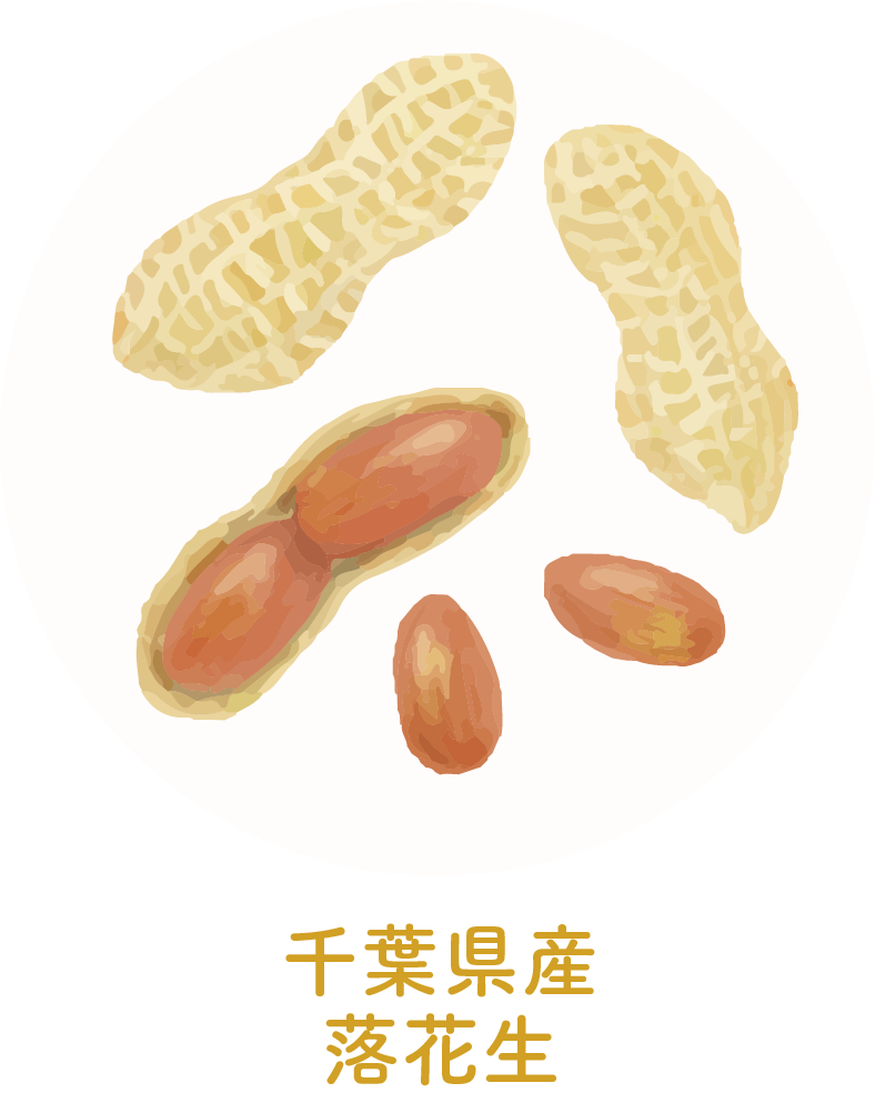 千葉県産落花生v2
